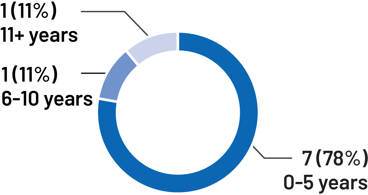 piechart_tenure_of_director.jpg